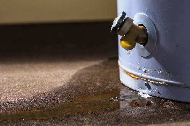 Best Local water damage restoration  in Manly, IA