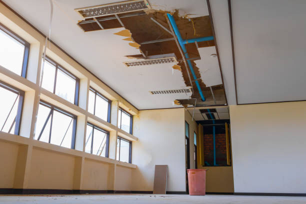 Best Commercial water damage restoration  in Manly, IA