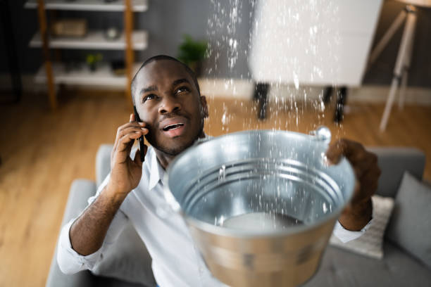 Best 24-hour water damage restoration  in Manly, IA
