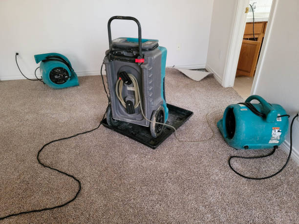 Best Emergency water damage restoration  in Manly, IA