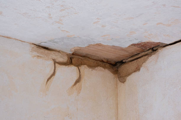 Best Flood damage cleanup  in Manly, IA