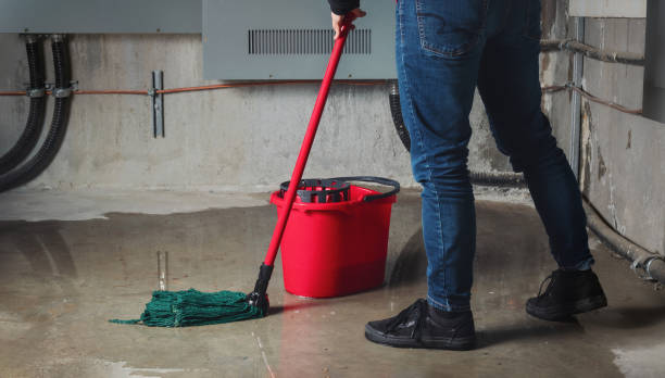 Best Water damage restoration near me  in Manly, IA