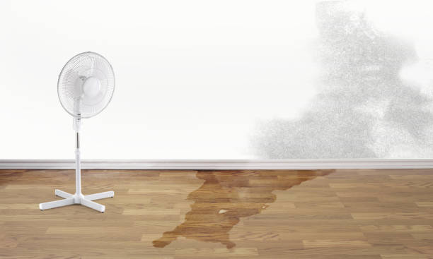 Best Residential water damage restoration  in Manly, IA