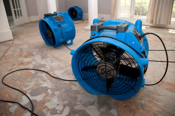 Best Flood restoration services  in Manly, IA