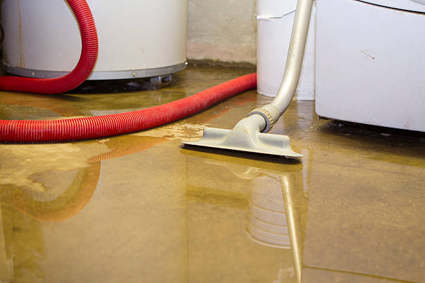 Best Flood restoration services  in Manly, IA