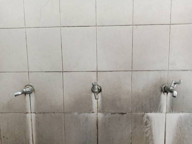 Best Flood damage cleanup  in Manly, IA