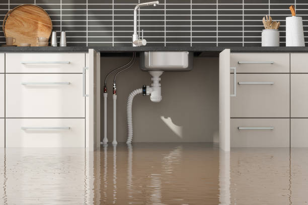 Best Professional water damage repair  in Manly, IA