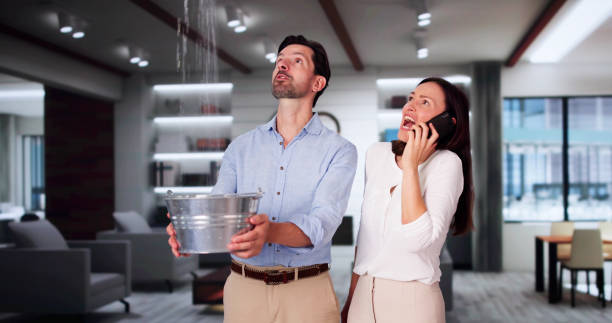 Best 24/7 water damage repair  in Manly, IA