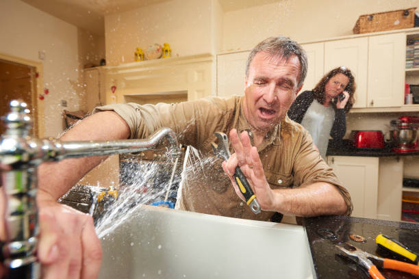 Best Water damage contractors near me  in Manly, IA